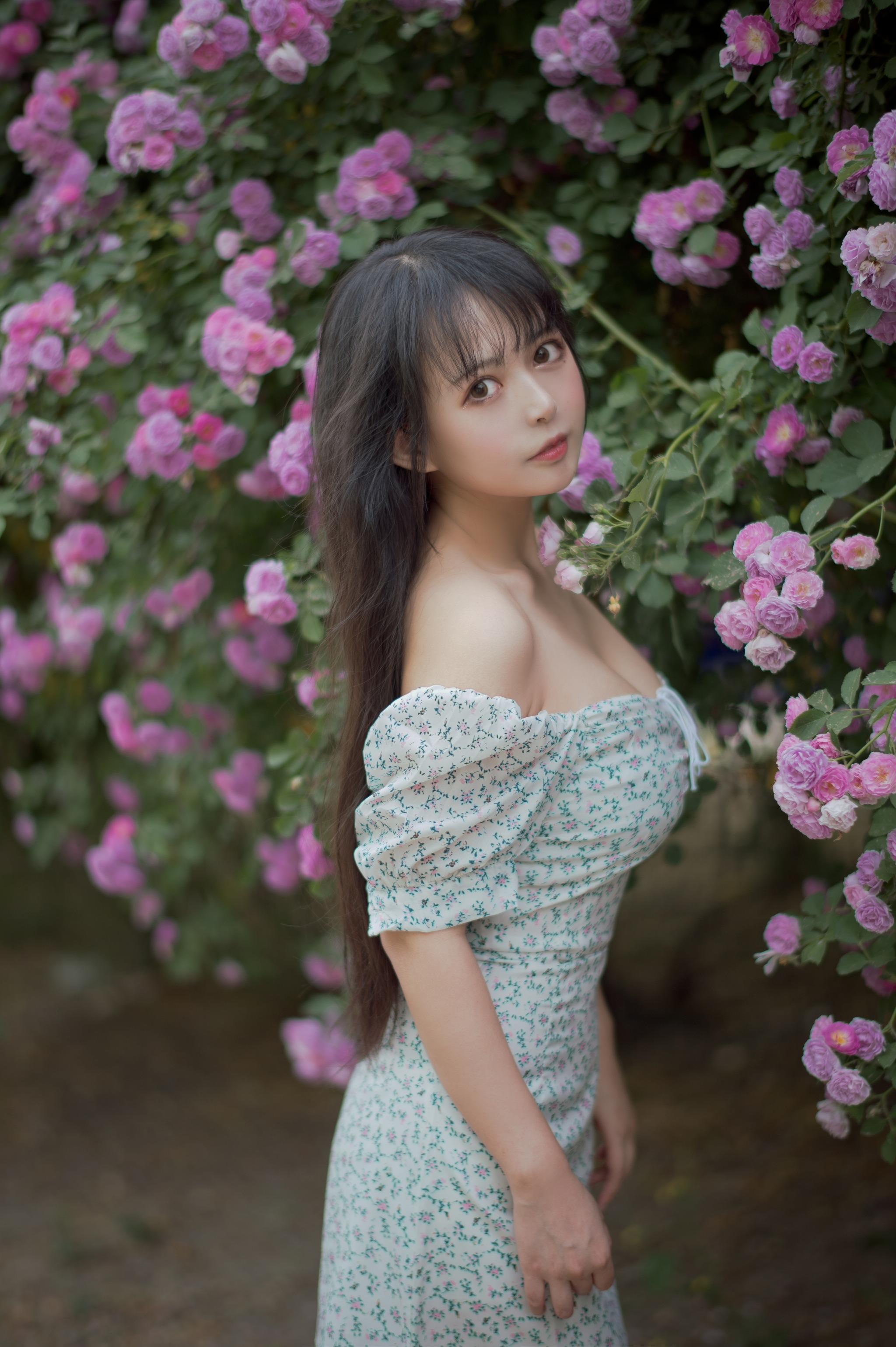 黑猫猫 - NO.022 蔷薇2 [27P]-XikXak